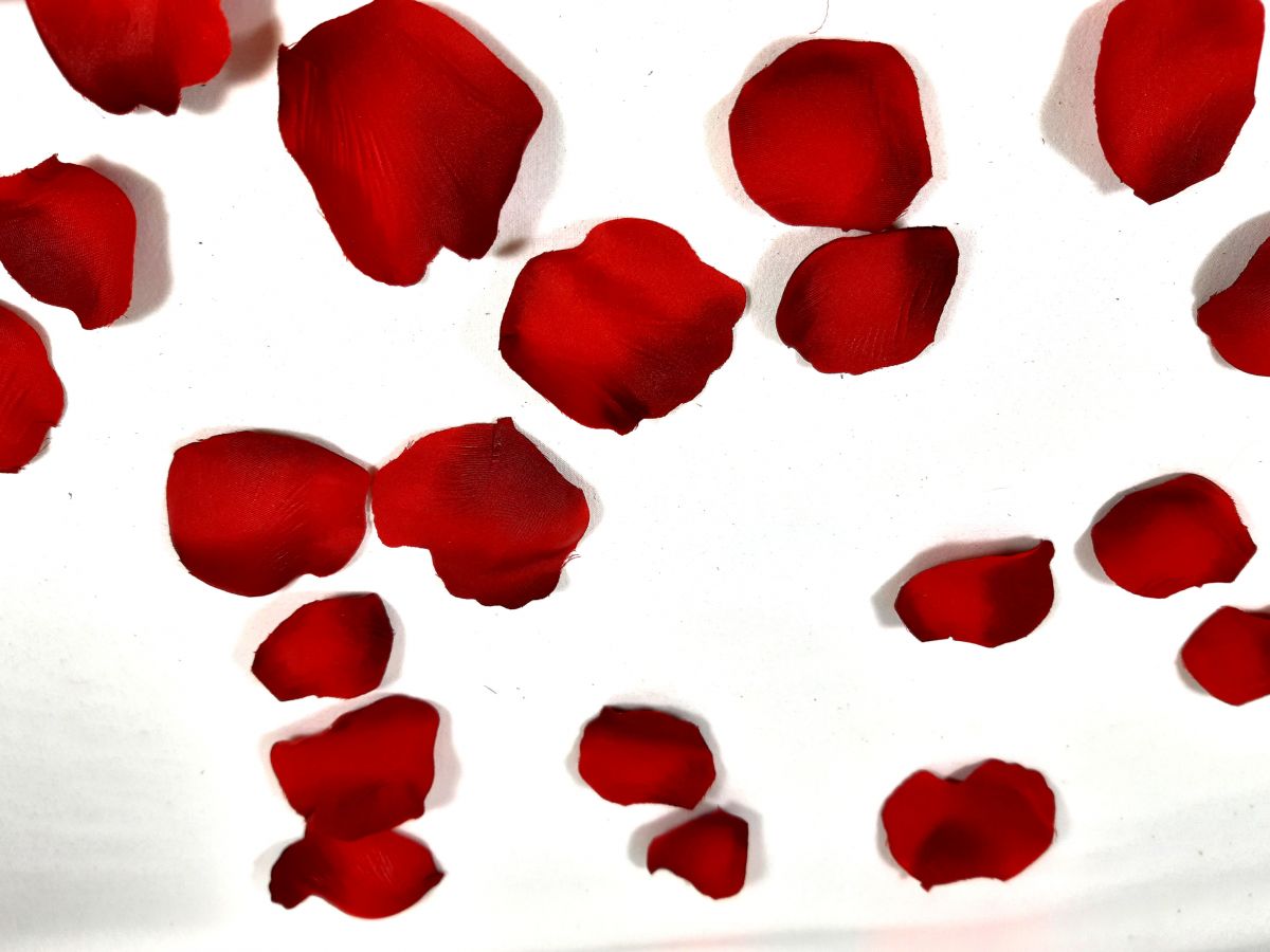 Petali di rosa in tessuto cloris fiammato rosso